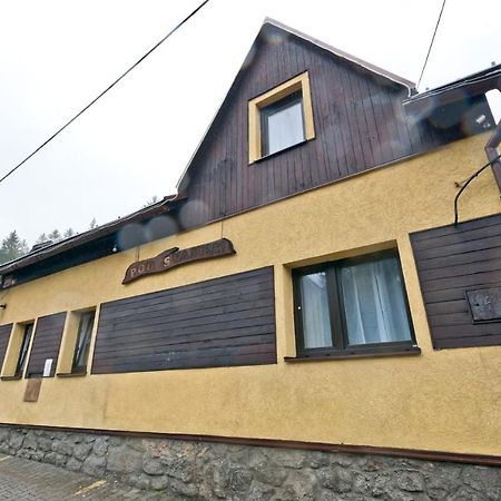 Penzion Pod Svahem Villa Železná Ruda Kültér fotó